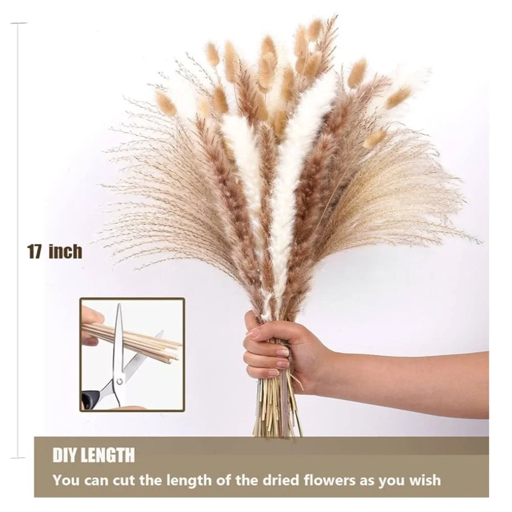 Pampas Grass NIB